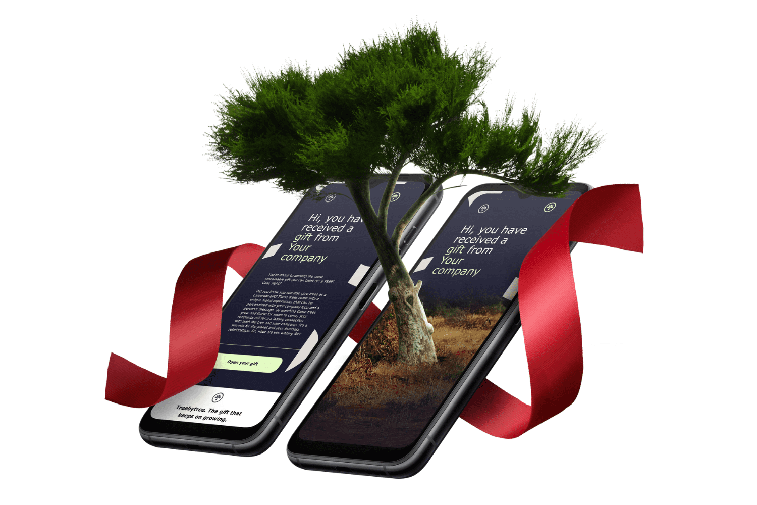 treebytree gifting trees
